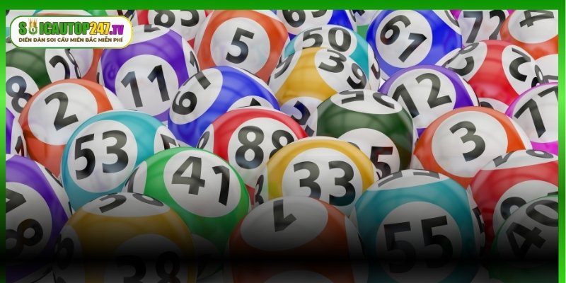 Đặc điểm tuyệt vời của phương pháp thành viên cần biết